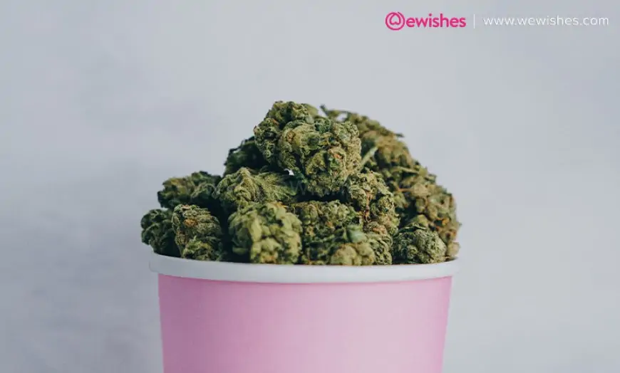 Delta 8 THC Flower – How Does it Work?