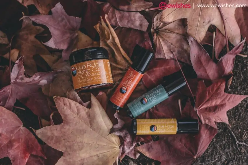 Lifter Hemp: Everything You Need to Know