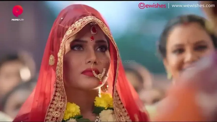 Pehredaar Season 5 Web Series 2023 Originals Official Trailer Watch Now - Priya Gamre