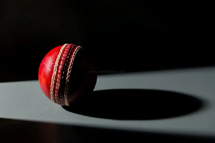 Improving The Win Percentage In Cricket Betting