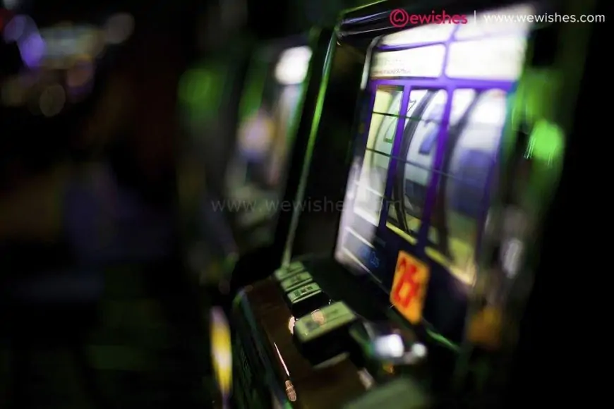 What Should You Look for in an Online Casino?