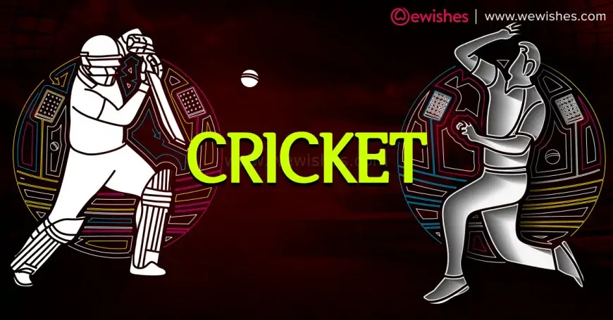 ODI World Cup | Five-Wicket Hauls by Indian Bowlers