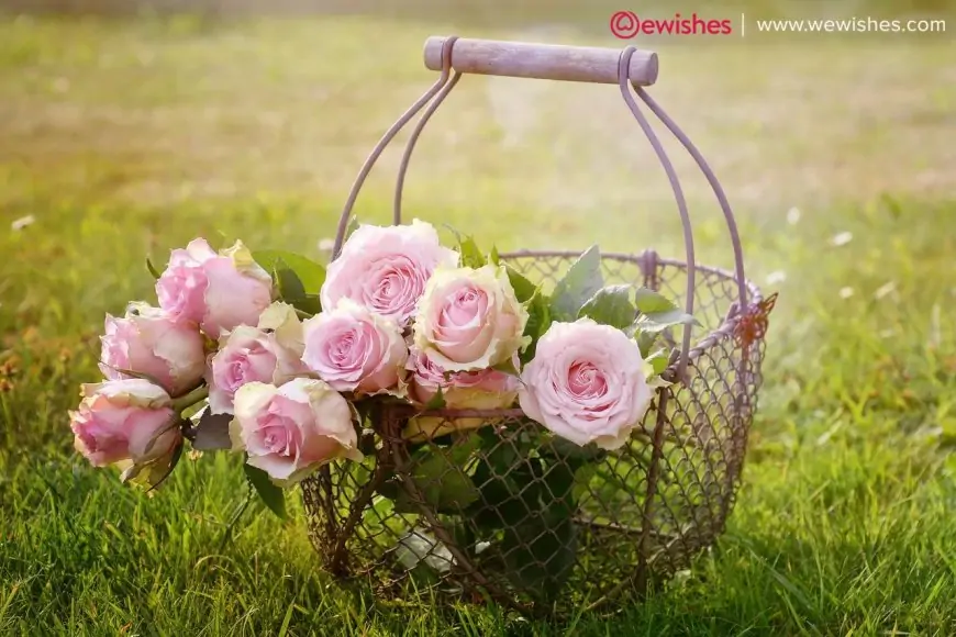 Romantic roses flower For Your Loved one