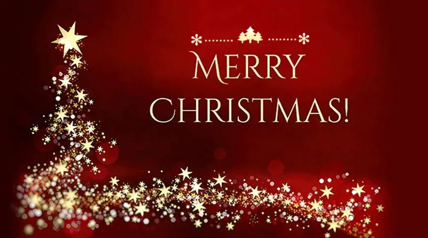 Merry Christmas Wishes in Hindi