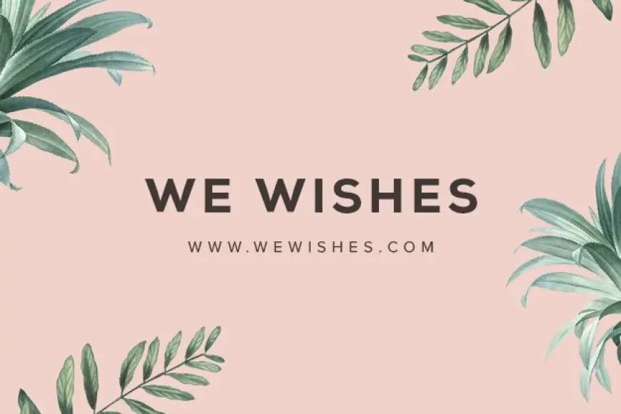 Best Amazon After Christmas Decoration Sales 2019