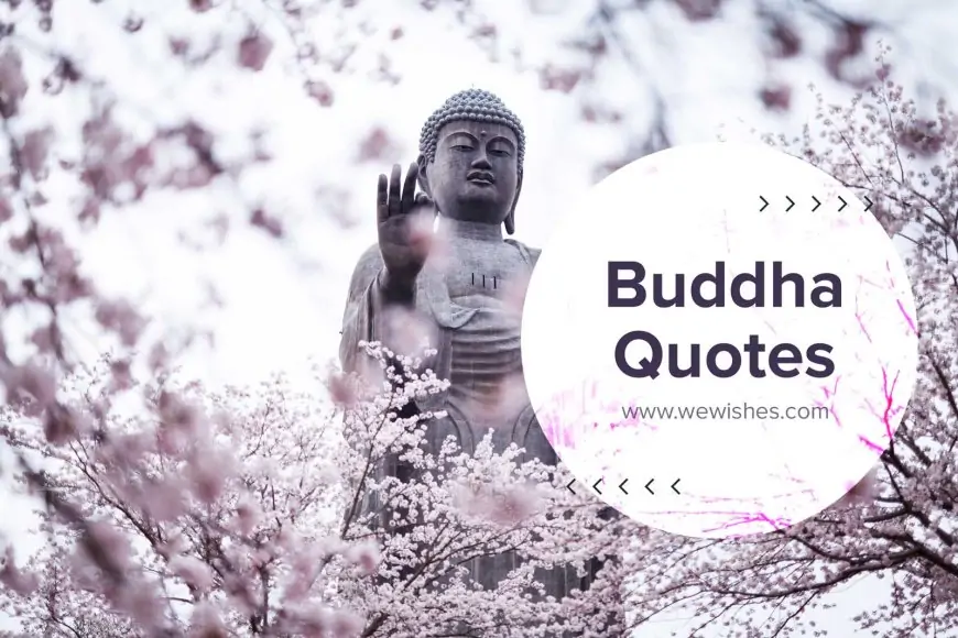 Buddha Quotes Love, Peace, Happiness That Will Wiser You