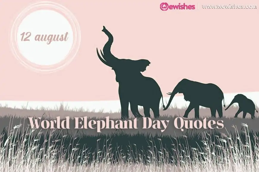 World Elephant Day 2023: Top Quotes and Wishes