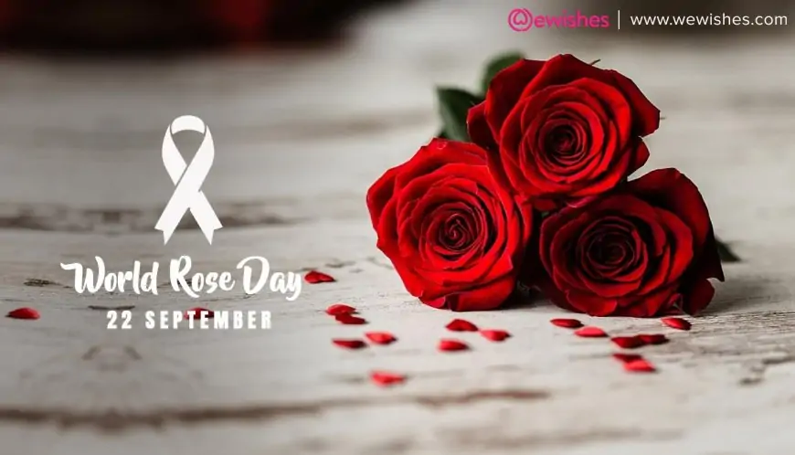 World Rose Day Quotes, Significance, History - To Bring Happiness In The Lives Of Cancer Patients
