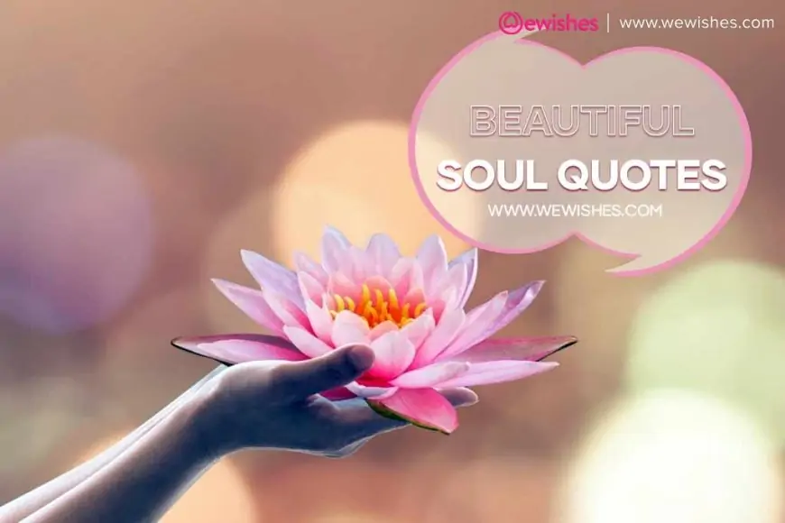 Ways to Keep your body and soul calm during this pandemic- Covid 19