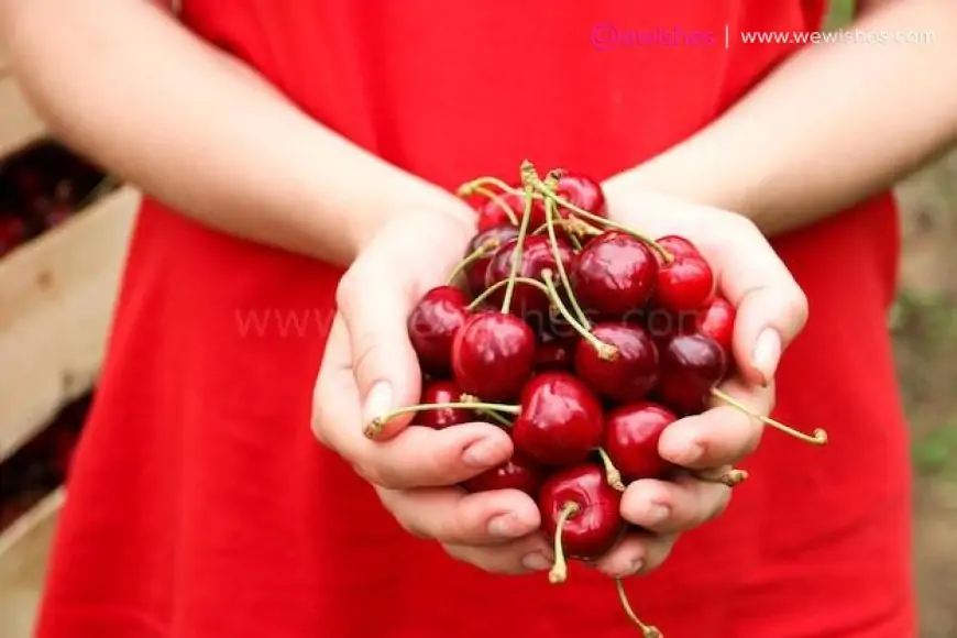 Happy National Cherry Day 2024 Wishes, Quotes, History, Significance, Health Benefits to Share