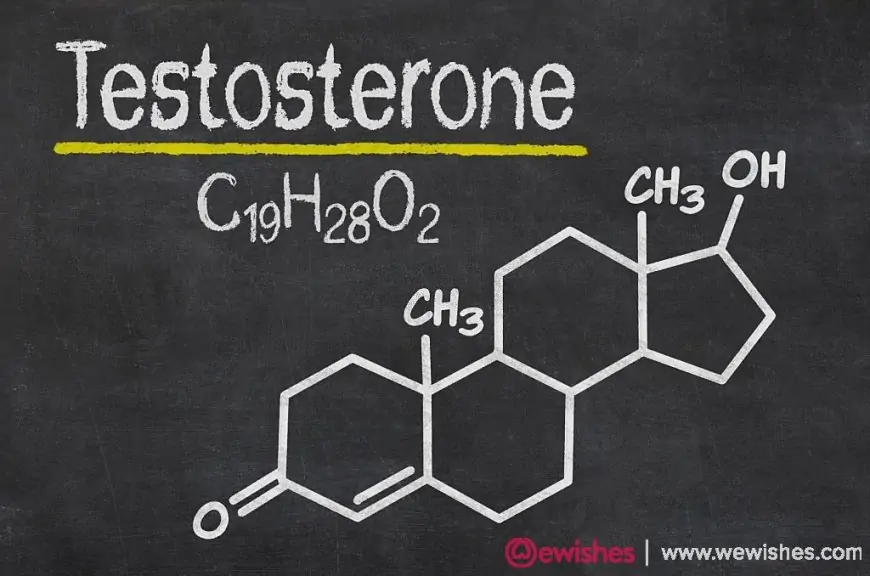 How To Increase Testosterone Naturally