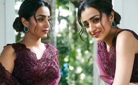 Trisha Krishnan Biography, Age, Height, Family, Affair, Wiki & Personal Life