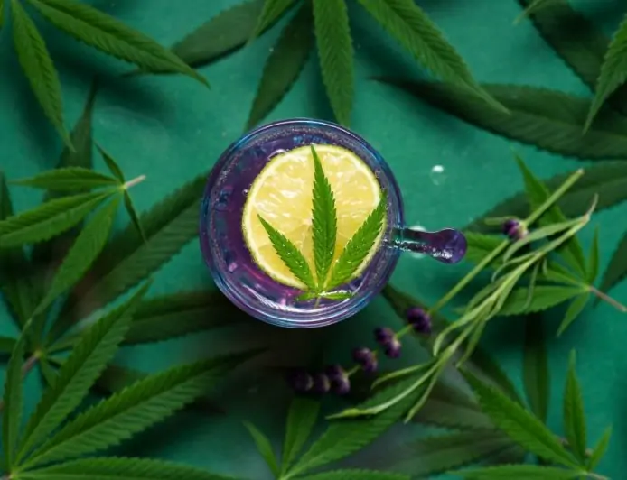 The Essential Guide to THC Detox: How to Rid Your Body of Marijuana