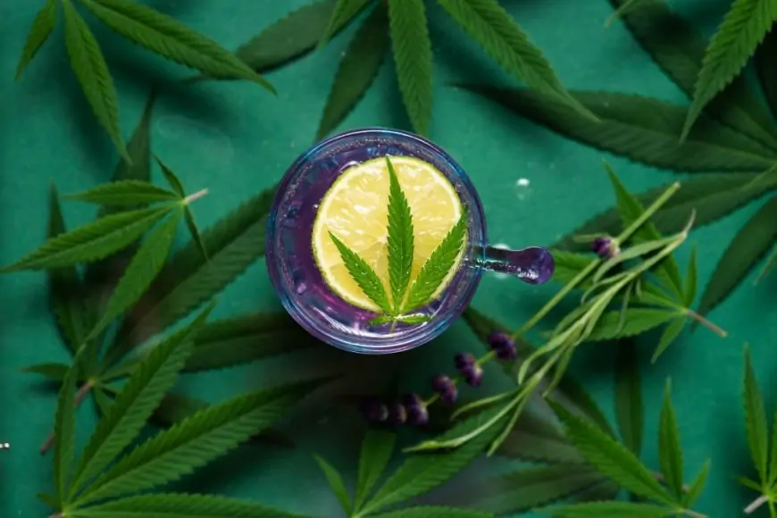 The Essential Guide to THC Detox: How to Rid Your Body of Marijuana