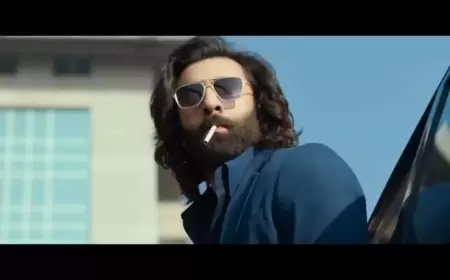 Animal Movie (2023) HdMovieHub, Filmyzilla Hindi Full Movie Watch Online Free