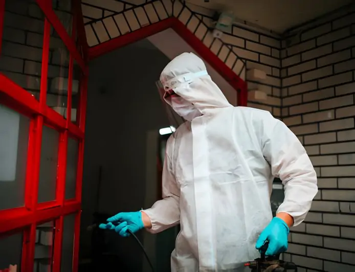 A Guide for Homeowners When to Call for Emergency Pest Control