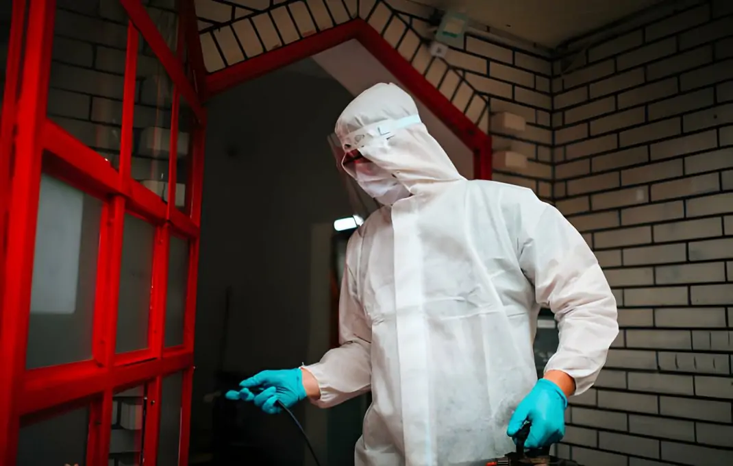 A Guide for Homeowners When to Call for Emergency Pest Control