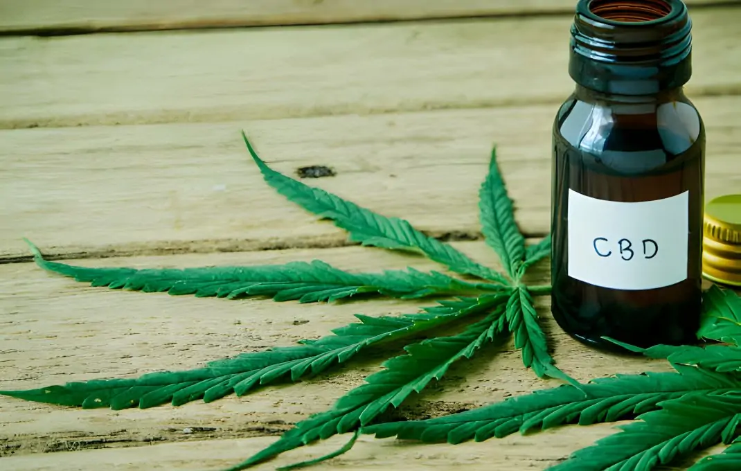 CBD Shopper's Guide: How to Uncover the Best Tinctures on the Market