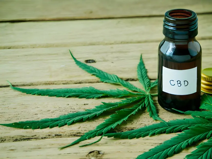 CBD Shopper's Guide: How to Uncover the Best Tinctures on the Market