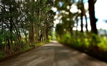 Understanding the Difference: Astigmatism vs Myopia Understanding the Difference: Astigmatism vs Myopia