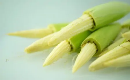 The Benefits of Growing Baby Corn Seeds in Your Garden The Benefits of Growing Baby Corn Seeds in Your Garden