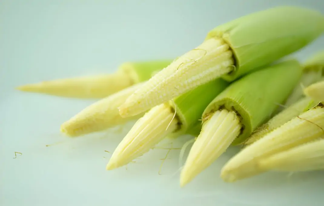 The Benefits of Growing Baby Corn Seeds in Your Garden