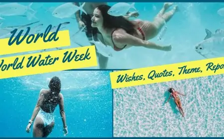 World Water Week 2025 (23 August to 01 September) Wishes, Quotes, Theme, Reports to Share