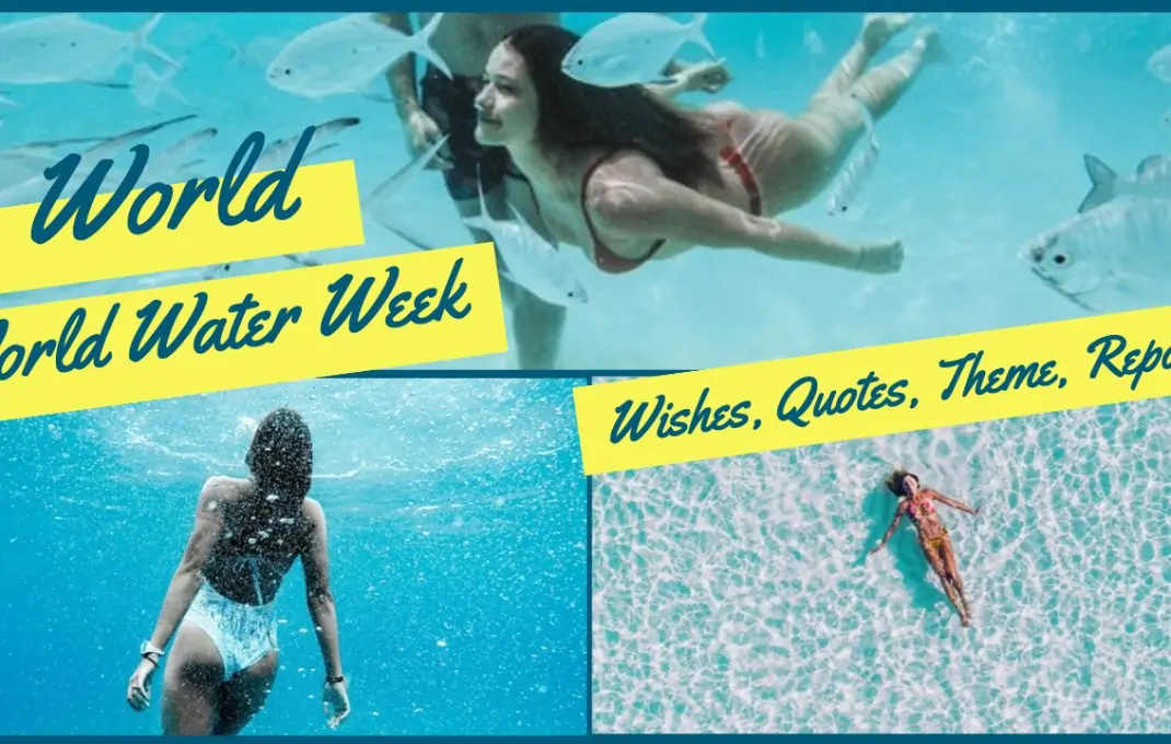 World Water Week 2025 (23 August to 01 September) Wishes, Quotes, Theme, Reports to Share