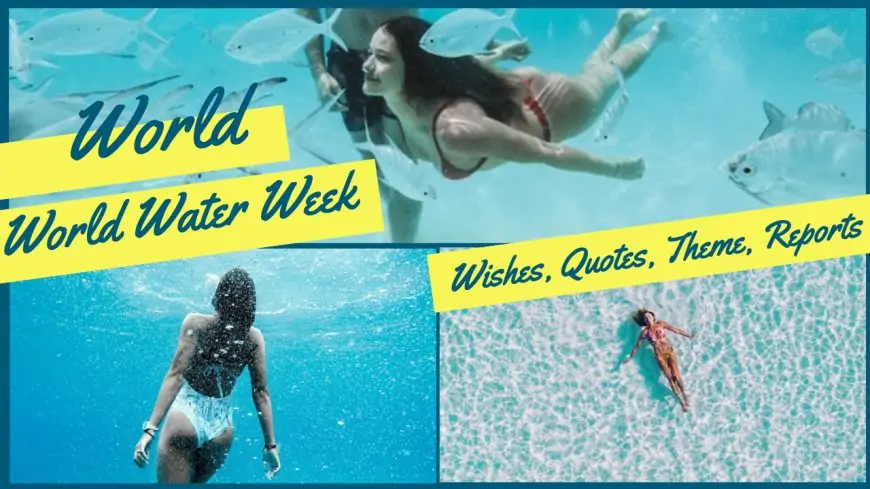 World Water Week 2025 (23 August to 01 September) Wishes, Quotes, Theme, Reports to Share