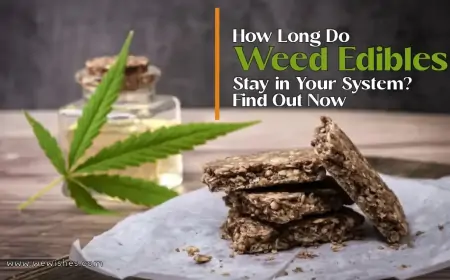 How Long Do Weed Edibles Stay in Your System? Find Out Now How Long Do Weed Edibles Stay in Your System? Find Out Now