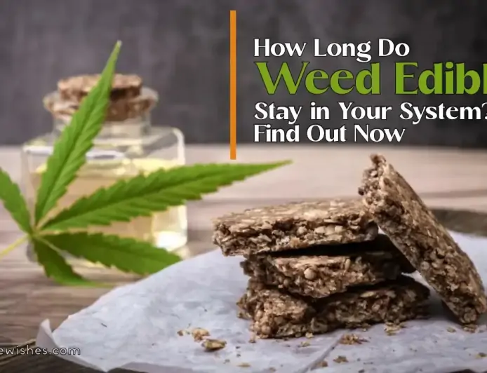 How Long Do Weed Edibles Stay in Your System? Find Out Now