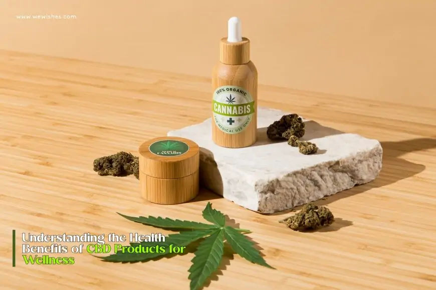 Understanding the Health Benefits of CBD Products for Wellness