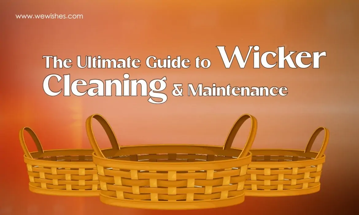The Ultimate Guide to Wicker Cleaning & Maintenance