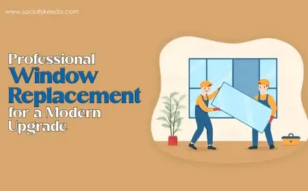 Professional Window Replacement for a Modern Upgrade