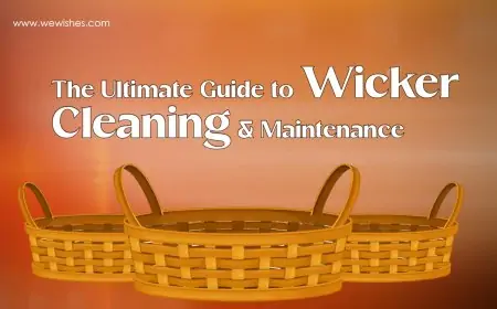 The Ultimate Guide to Wicker Cleaning & Maintenance