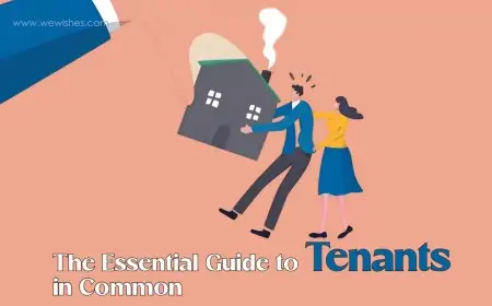 The Essential Guide to Tenants in Common The Essential Guide to Tenants in Common