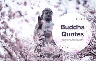 Buddha Quotes That Will Make You Wiser