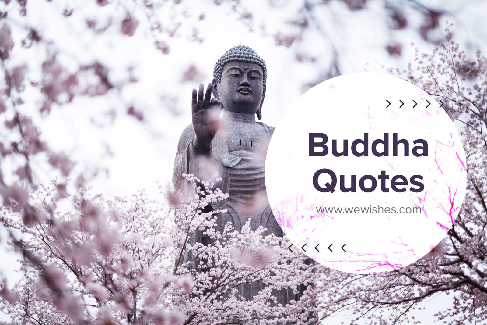 Buddha Quotes That Will Make You Wiser