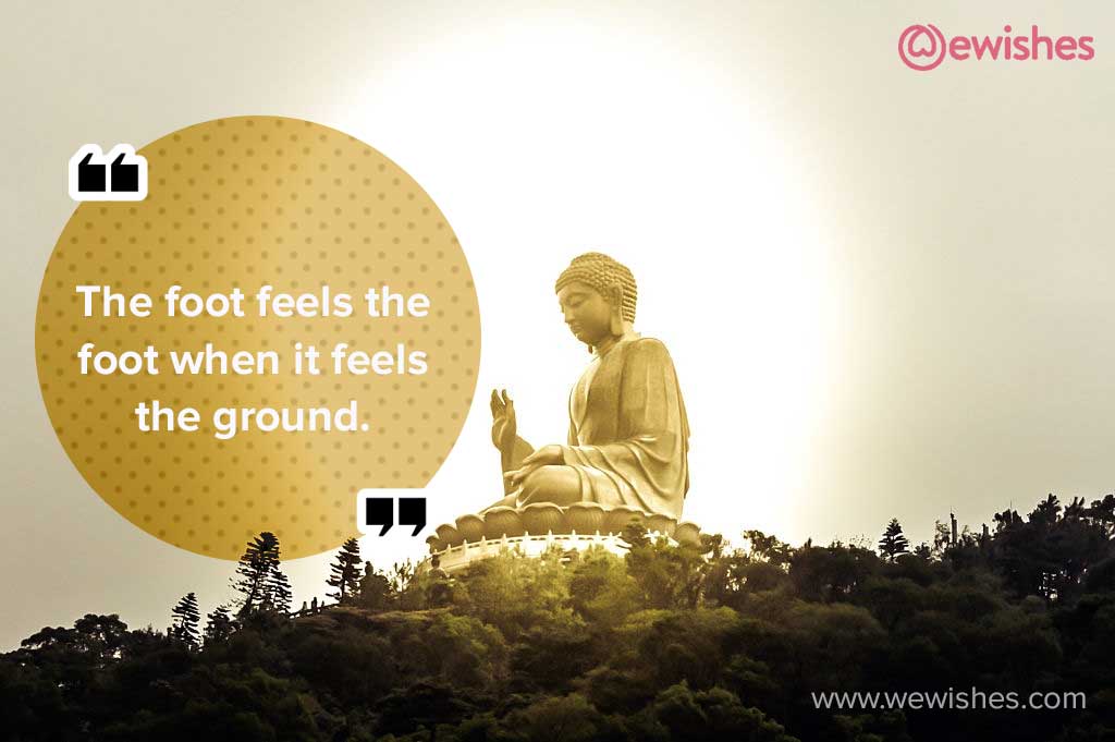 Buddha Love Quotes