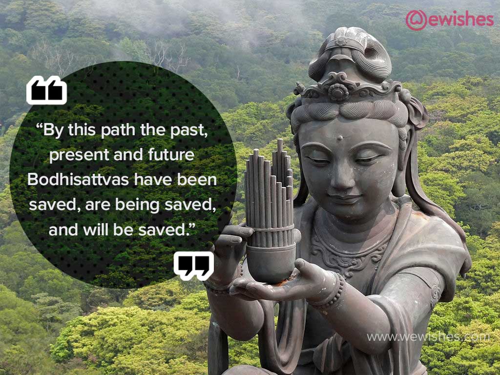 Buddha Life, Fake Quotes