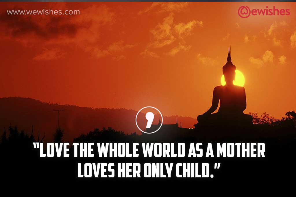 Buddha Love The Whole World