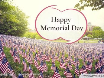 Funny Memorial Day Quotes Memorial Day Quotes Funny | We Wishes