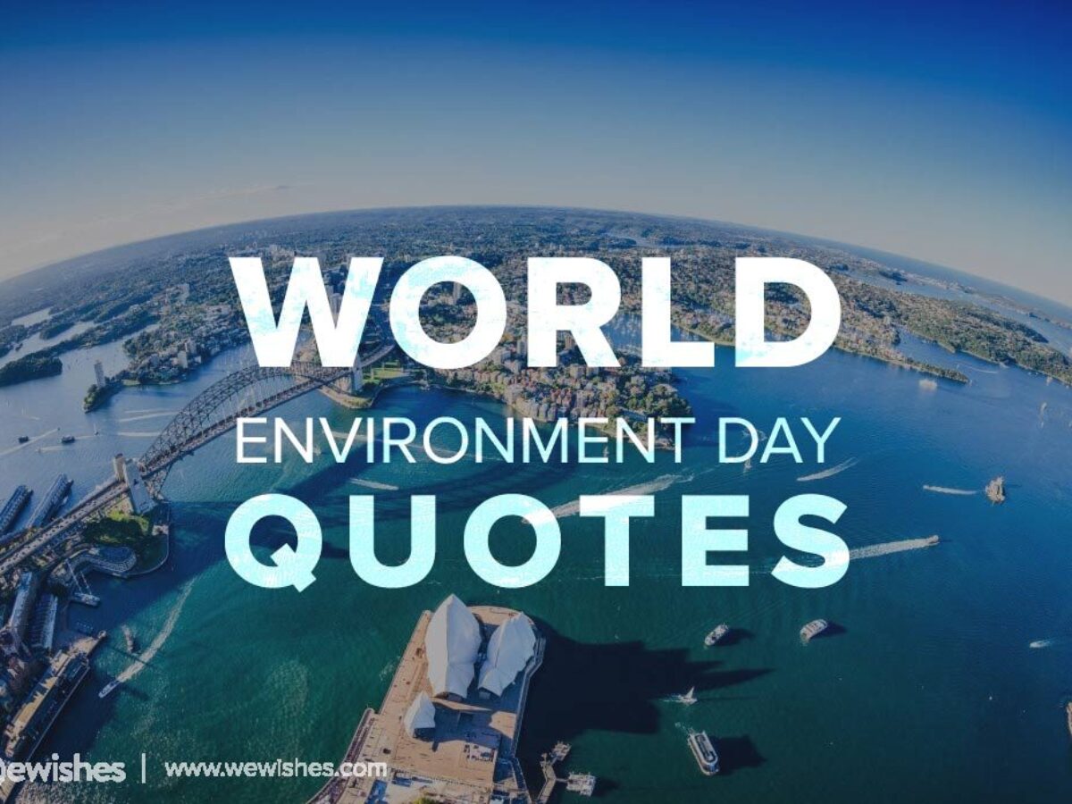 World Environment Day 21 Quotes And Slogans Poster Theme We Wishes