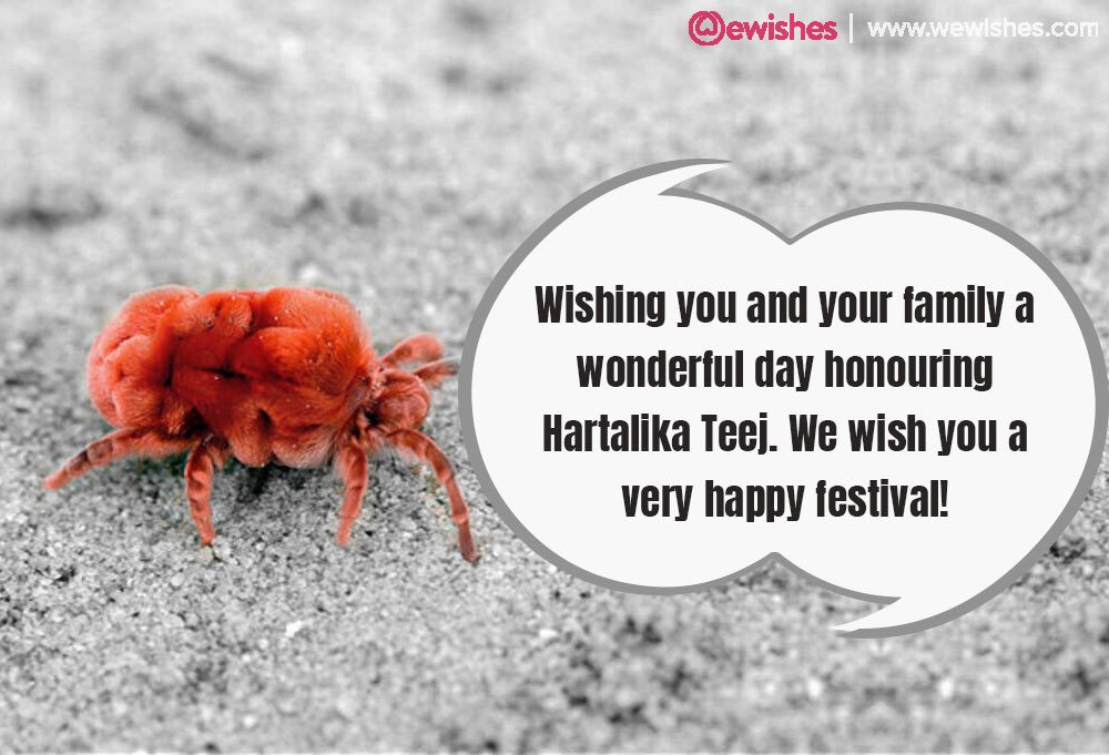 Happy Hartalika Teej Wishes, 2020