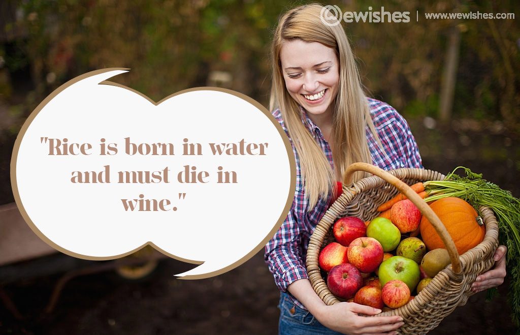 world-food-safety-day-2024-quotes-wishes-poster-theme-and-slogans