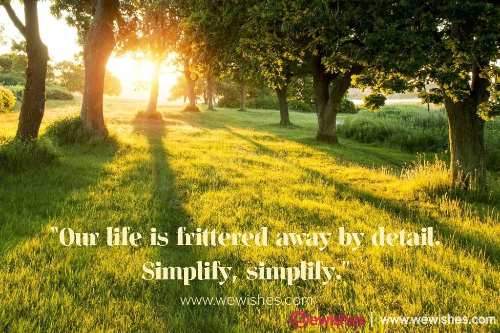 National Simplicity Day Quotes