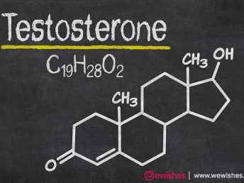 testosterone 1 1