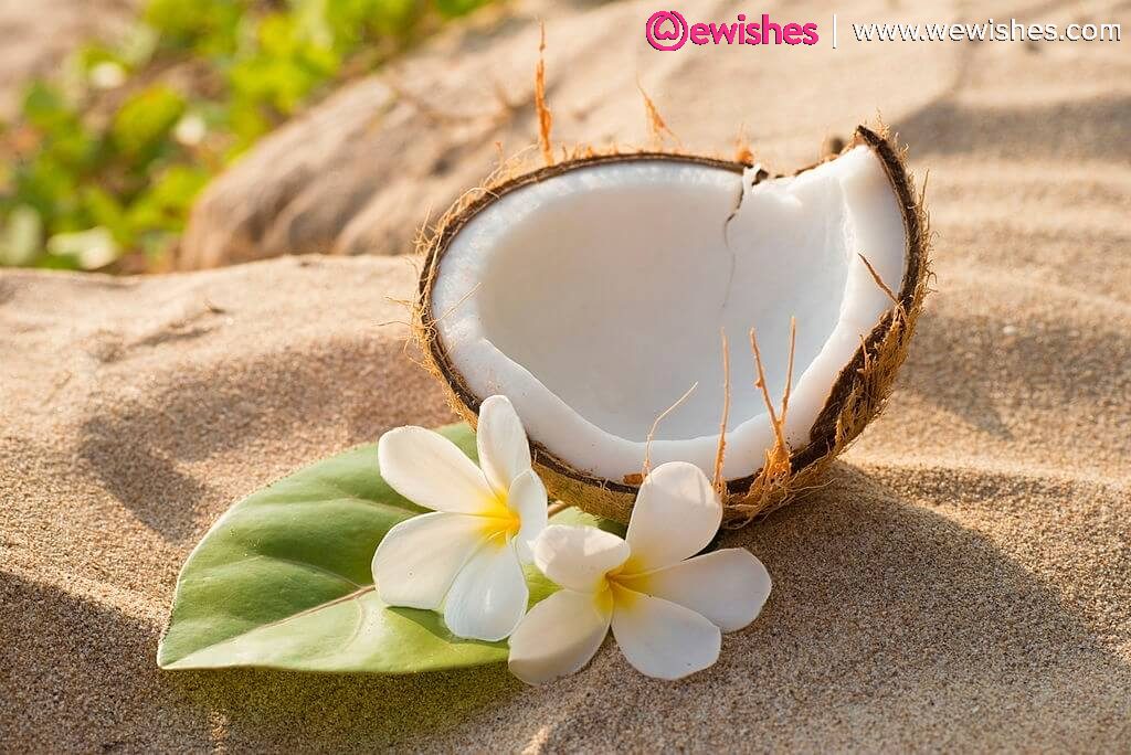 World Coconut Day Wishes