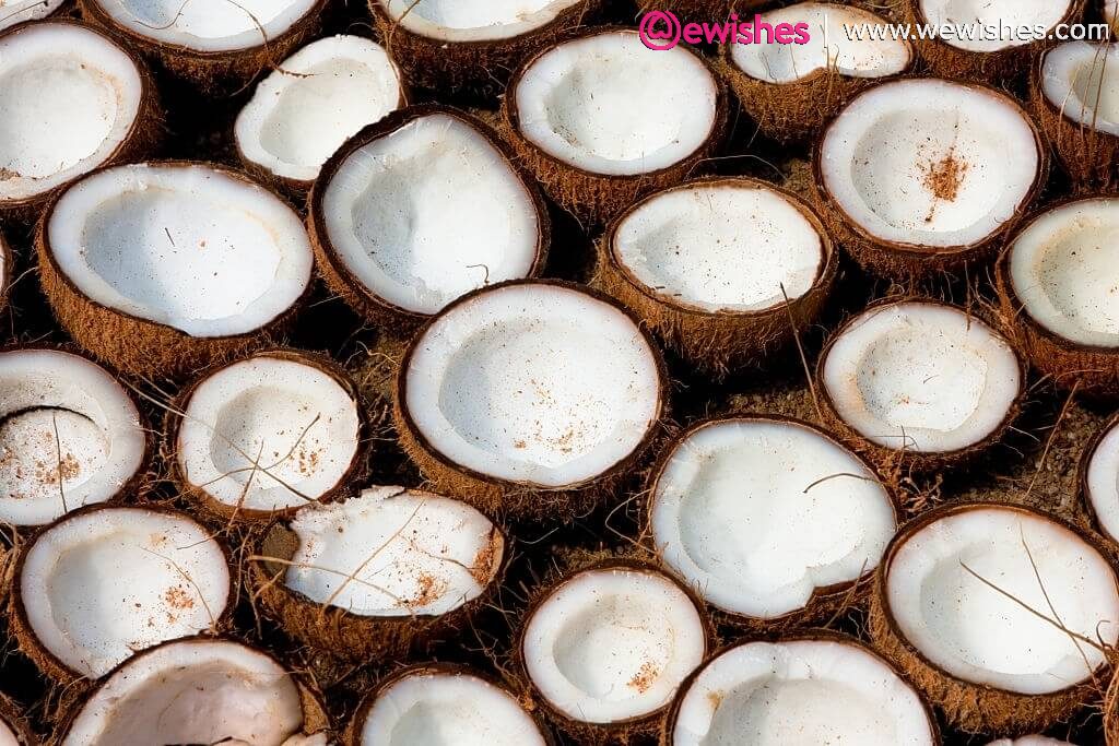 Coconut Day - Interesting Facts