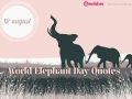 World Elephant Day: Top Quotes and Sayings